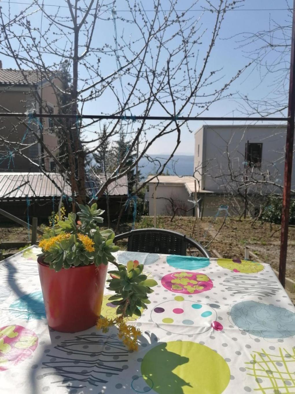 Apartments Olgi - Free Parking Crikvenica Εξωτερικό φωτογραφία
